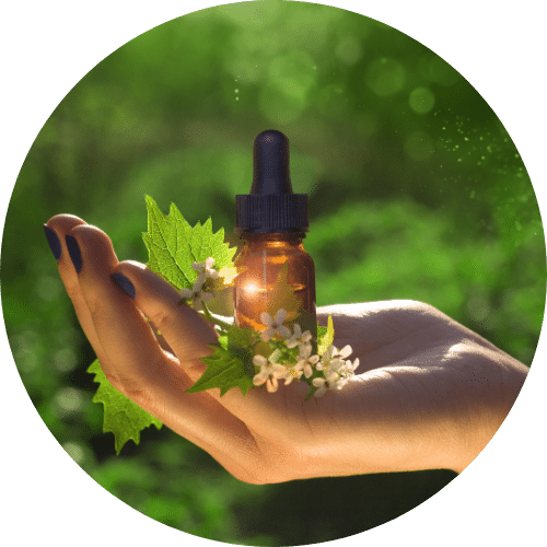 Flower Essence Therapy